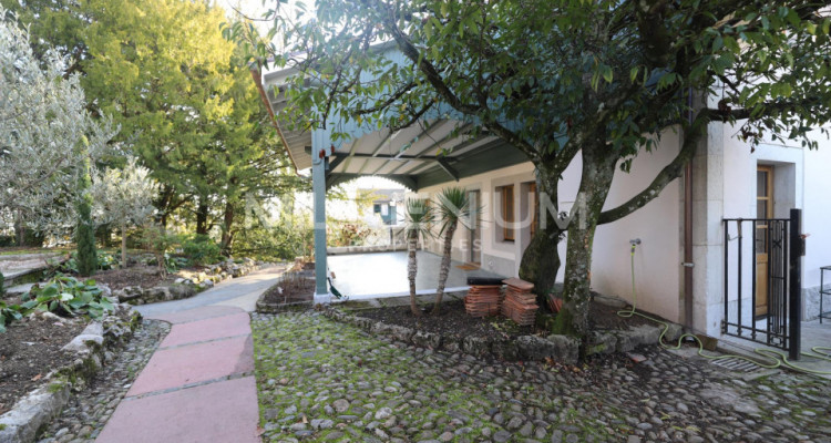 Satigny, magnifique maison au milieu des vignes image 3