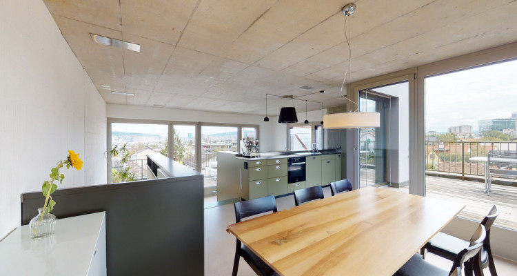 Moderne Duplex-Attika mit spektakulärer Aussicht in Zürich image 8