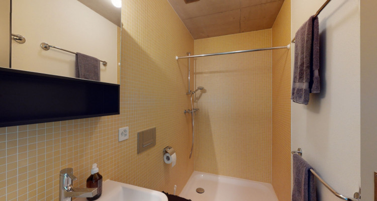 Moderne Duplex-Attika mit spektakulärer Aussicht in Zürich image 11