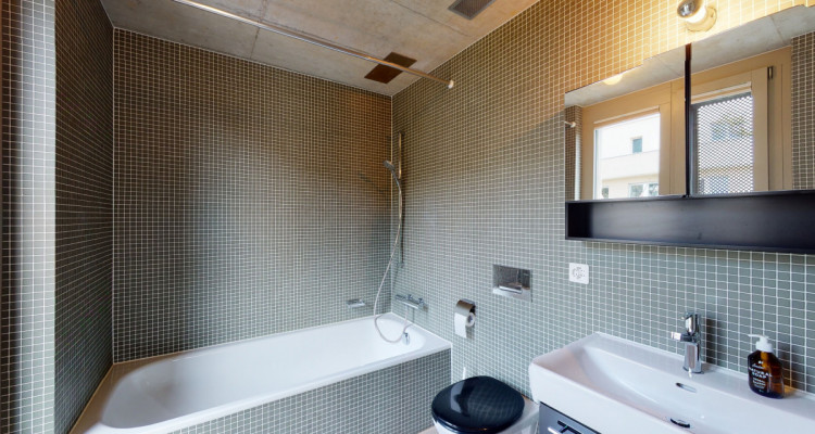 Moderne Duplex-Attika mit spektakulärer Aussicht in Zürich image 12