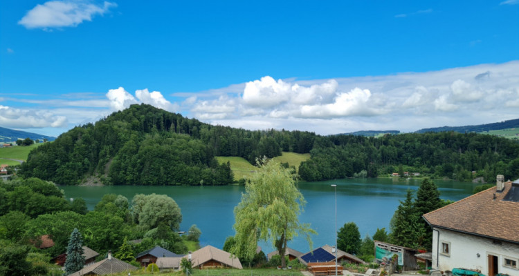 EXCEPTIONNEL : LOFT EN ATTIQUE image 1