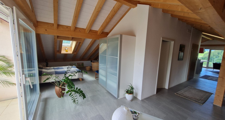 EXCEPTIONNEL : LOFT EN ATTIQUE image 3