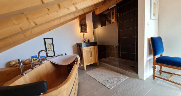 EXCEPTIONNEL : LOFT EN ATTIQUE image 4