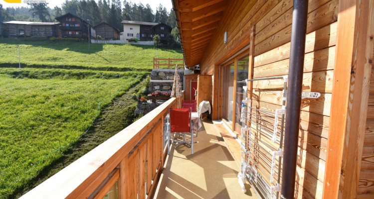 Nax - Mirande - 3.5 pièces image 11