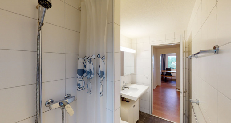 Attraktive 5.5 Zimmer Wohnung in Sempach image 8