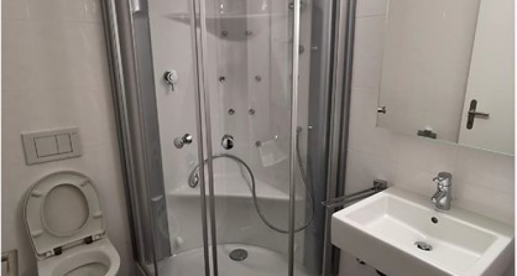 91m2 Wohnung in Volketswil mit Einstellplatz und Garten image 8