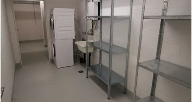 91m2 Wohnung in Volketswil mit Einstellplatz und Garten image 11