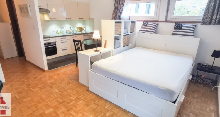 AU COEUR DE CLARENS STUDIO MEUBLÉ  image 3