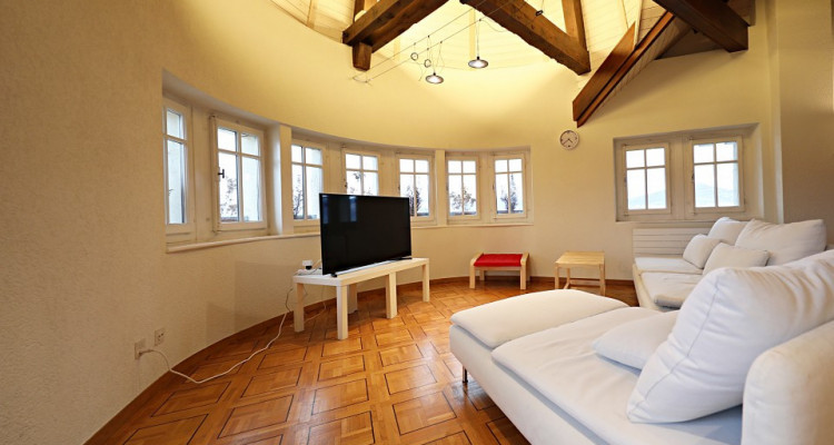 VIDEO 3D DISPO / Magnifique appartement mansardé en attique  image 2