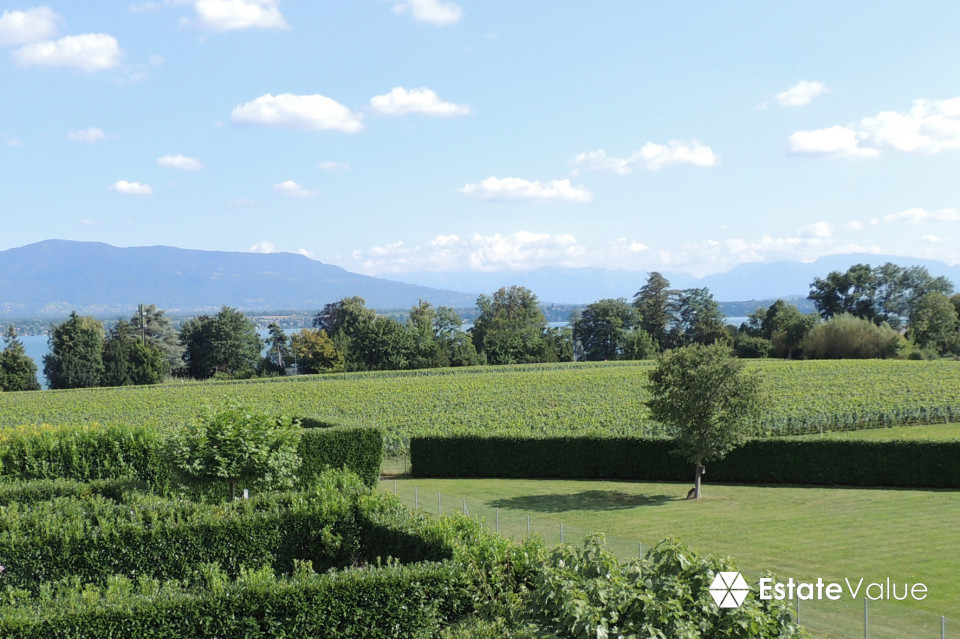 Penthouse 4.5 pièces à Terre Sainte. 200 m2 à Founex