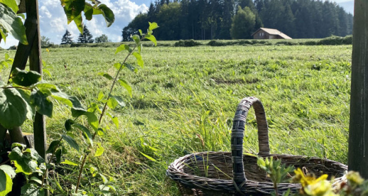 Charmant chalet avec vue sur les montagnes image 5