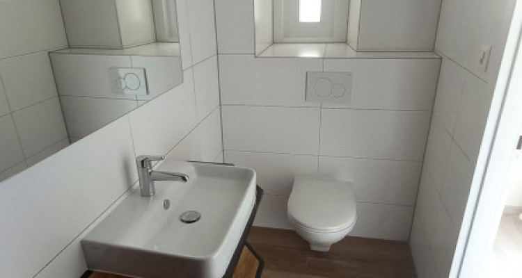 Magnifique studio / Le Sentier  image 5