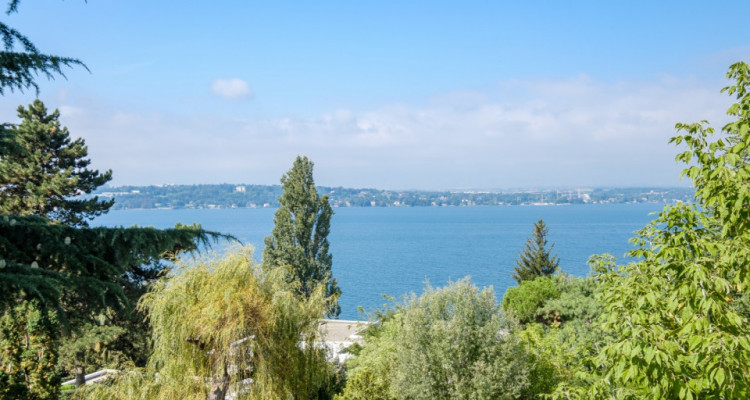 Maison darchitect avec une vue époustouflante sur le Lac Léman image 7