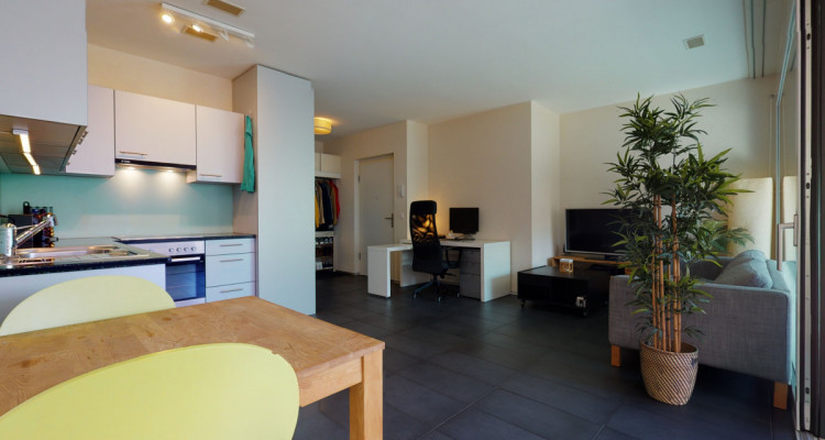 Magnifique appartement MINERGIE au centre de Bienne image 2