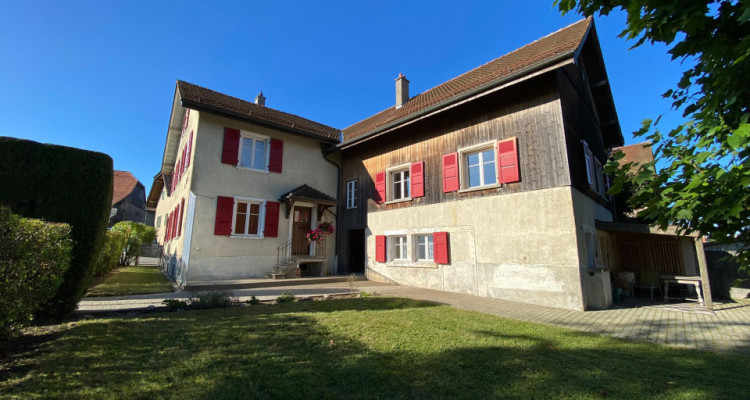 Maison villageoise de 3 appartements avec énormes volumes image 1