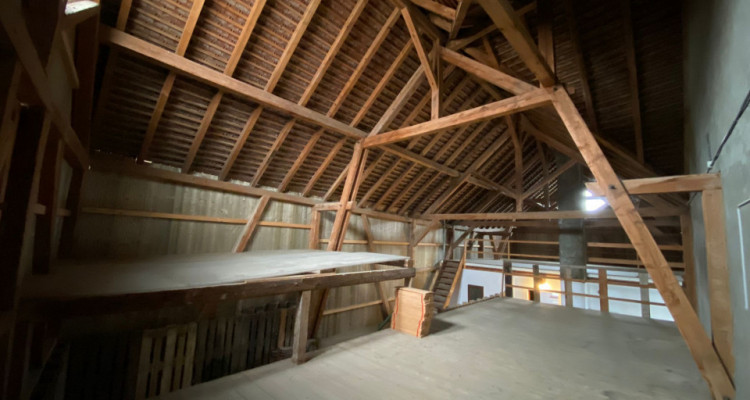 Maison villageoise de 3 appartements avec énormes volumes image 7