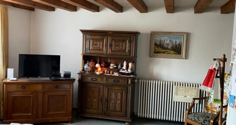 Maison villageoise de 3 appartements avec énormes volumes image 10