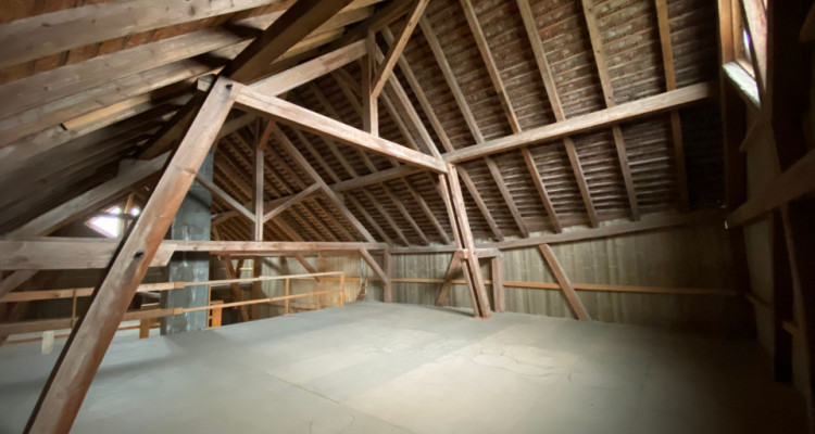 Maison villageoise de 3 appartements avec énormes volumes image 18