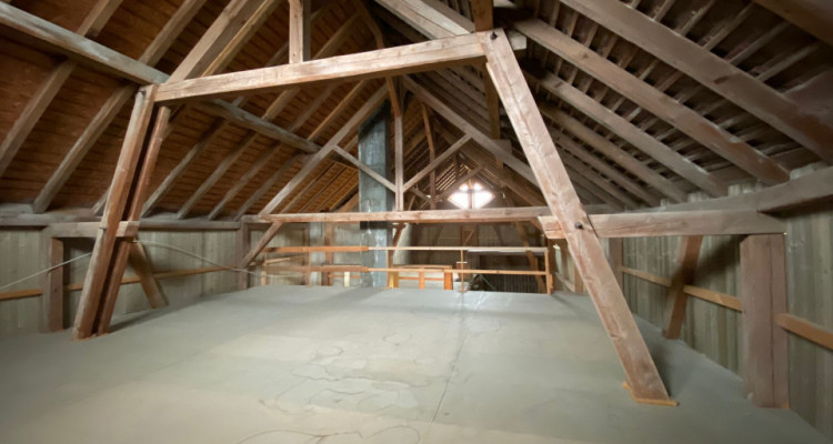 Maison villageoise de 3 appartements avec énormes volumes image 19