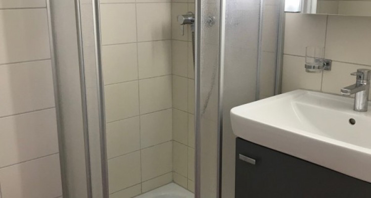 Au cœur de Carrouge (VD), très joli 4 pièces ! image 8