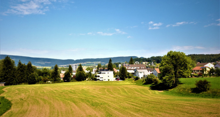 MIT WINTERGARTEN, BALKON & KOCHINSEL IN BÜSSERACH (25 min. von Basel) image 9