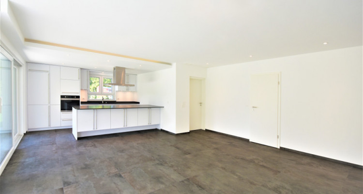 MIT WINTERGARTEN, BALKON & KOCHINSEL IN BÜSSERACH (25 min. von Basel) image 3