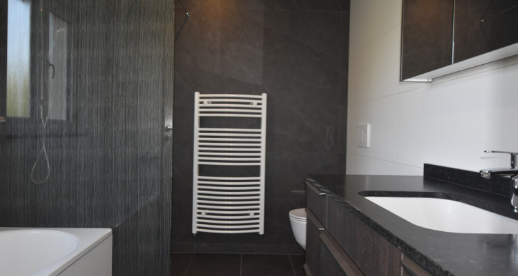 MIT WINTERGARTEN, BALKON & KOCHINSEL IN BÜSSERACH (25 min. von Basel) image 7