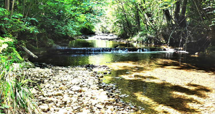 MIT WINTERGARTEN, BALKON & KOCHINSEL IN BÜSSERACH (25 min. von Basel) image 10