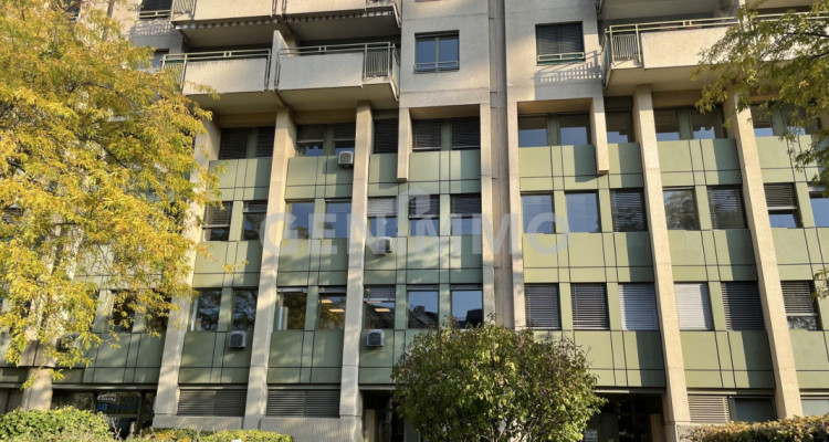 Spacieux appartement 5 pièces à 200m du CEVA 18, Rue Francois-Perreard image 7