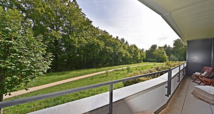 Somptueux appartement 4.5 pièces image 5