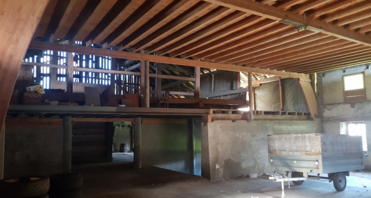 Ferme non classée à rénover avec important potentiel image 3