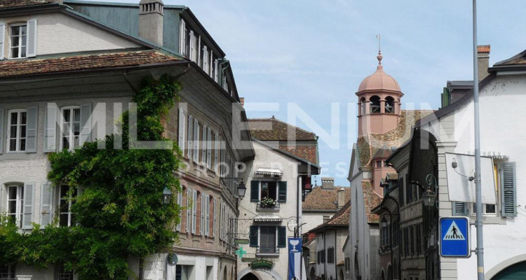 Coppet - Magnifique appartement avec terrasses proche du Lac image 1