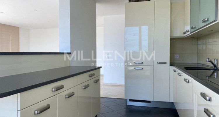 Appartement avec terrasse à Coppet vue Lac image 6