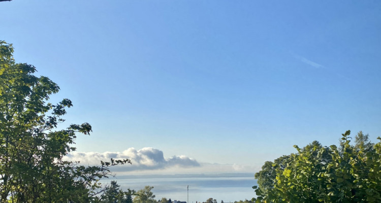 Avec balcon et vue lac image 3