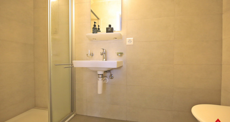 Magnifique duplex 3,5p + mezzanine // 2 chambres // 2 SDB // Balcon image 11