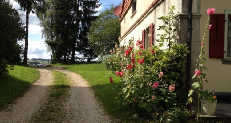 EN EXCLUSIVITÉ, FERME À RÉNOVER AVEC MAGNIFIQUE PARCELLE DE 12168 m2 image 2