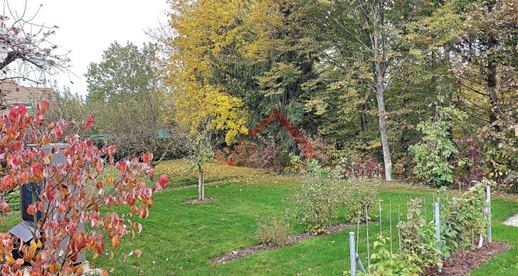 Estavayer-le-Lac (FR)  — Bel appartement de 4.5 p.  Accès direct sur jardin en bordure de ruisseau. image 7