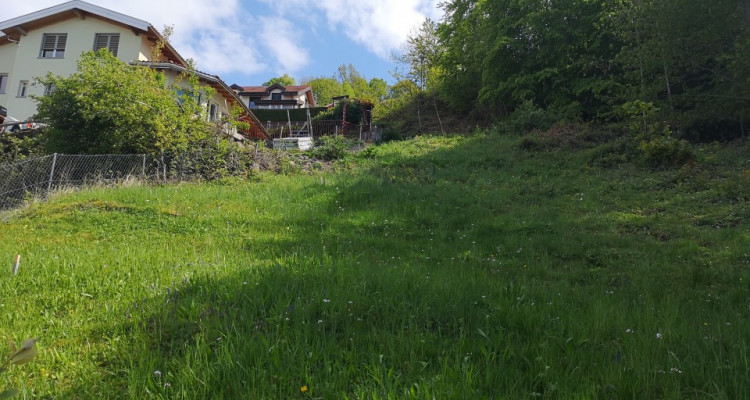 PERMIS EN FORCE : Deux villas jumelles sur plans avec chalet à rénover image 10