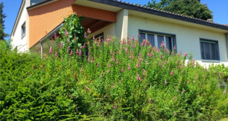 Villa individuelle à Granges-Près-Marnand ! image 1