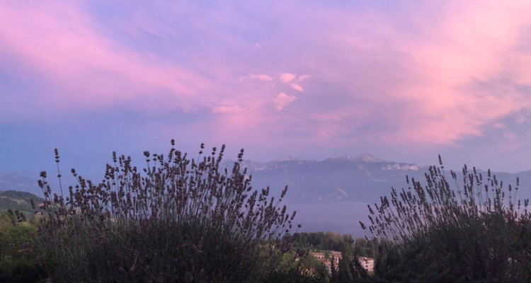 Magnifique appartement meublé en sous-location / 2 pièces / vue Lac image 1