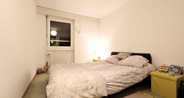 Magnifique appartement meublé en sous-location / 2 pièces / vue Lac image 3