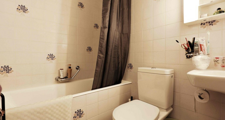 Magnifique appartement meublé en sous-location / 2 pièces / vue Lac image 4