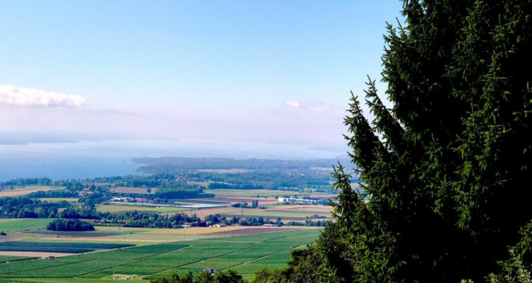 Grande maison bourgeoise ancienne hauteur de Rolle image 5