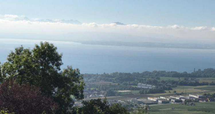 Grande maison bourgeoise ancienne hauteur de Rolle image 6