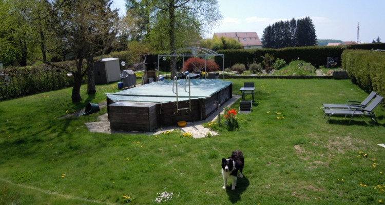 Maison individuelle avec beau jardin, piscine, étang image 1