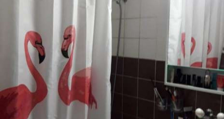 Studio situé à Meyrin. image 2