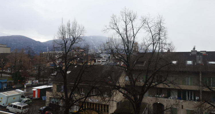 Joli 4 pièces situé à Chêne-Bourg avec balcon image 8
