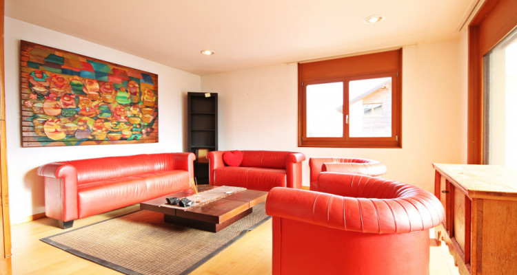 Magnifique villa 10p/ 5 chambres + appartement séparé/ jardin-piscine image 3