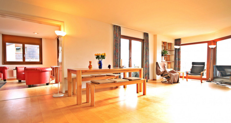 Magnifique villa 10p/ 5 chambres + appartement séparé/ jardin-piscine image 4