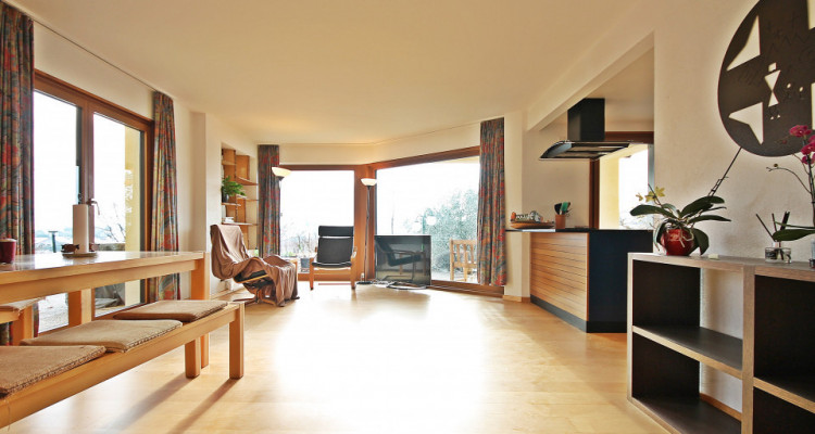 Magnifique villa 10p/ 5 chambres + appartement séparé/ jardin-piscine image 5